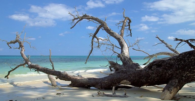  Short Escape To Andaman 