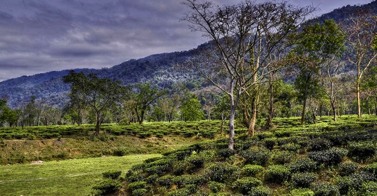  Assam & Meghalaya Tour 