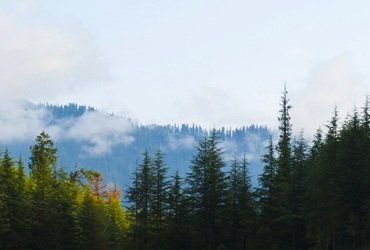 Manali Honeymmon Tour Packages