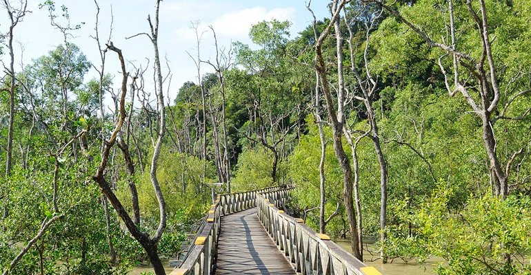  Singapore Langkawi Tour