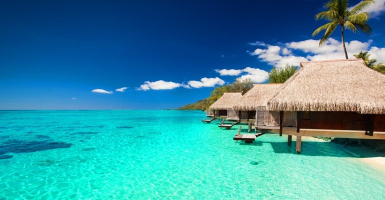  MS Paradise Holidays